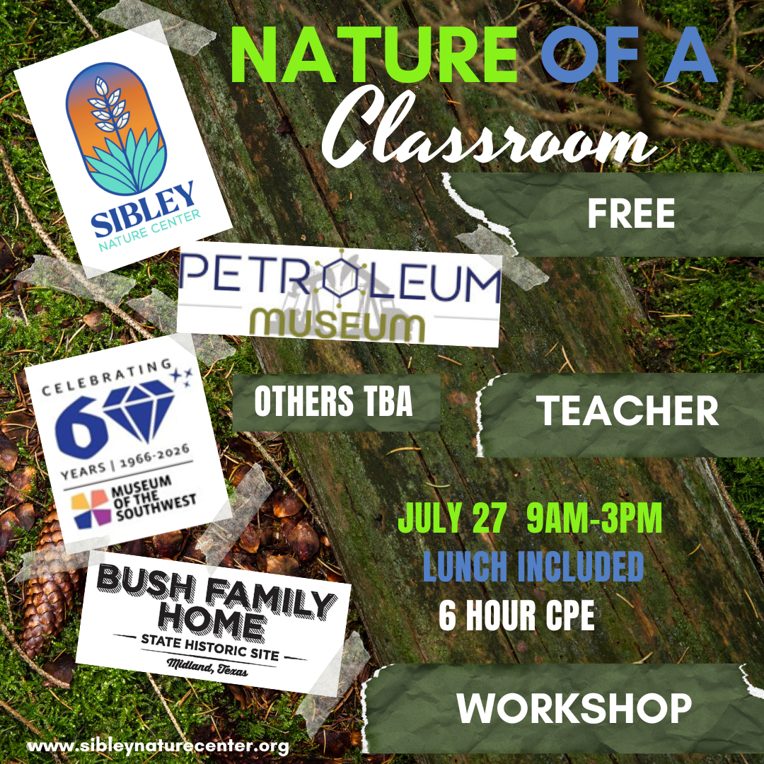 Nature of a Classroom July 27 - logo