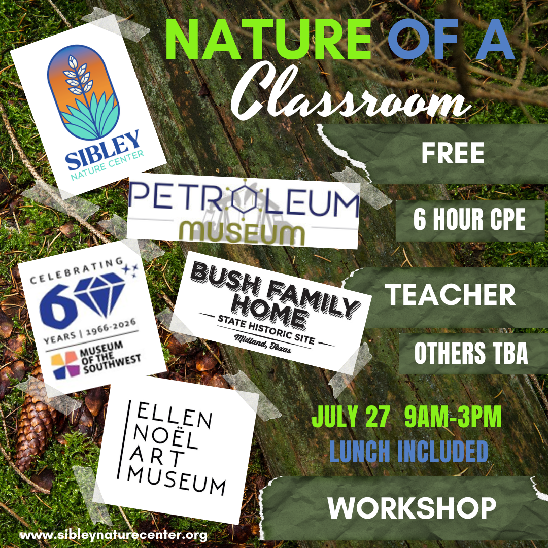 Nature of a Classroom July 27 - logo