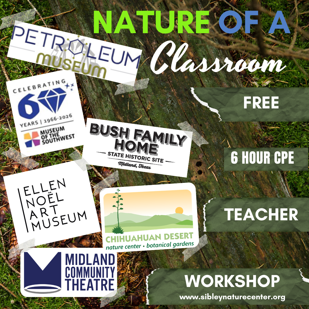 Nature of a Classroom July 27 - logo